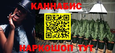 каннабис Кингисепп