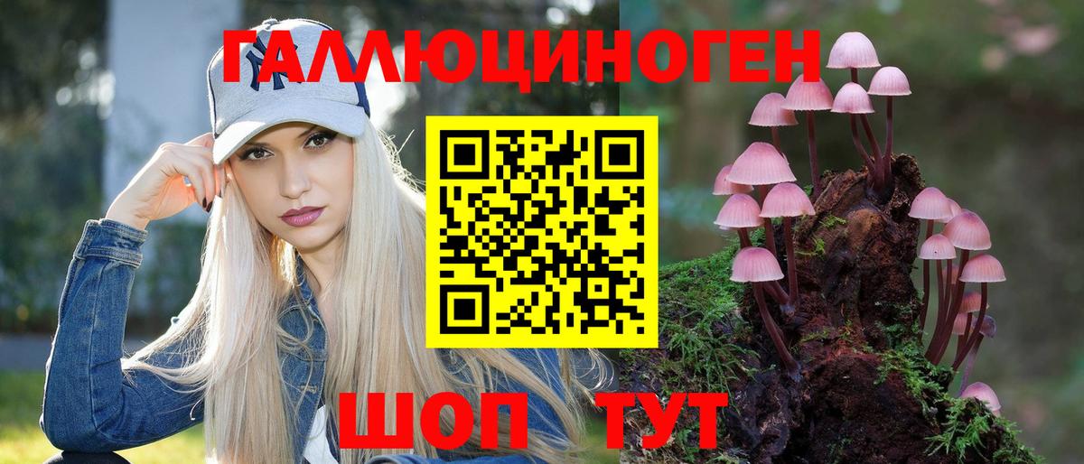 Галлюциногенные грибы Magic Shrooms  закладка  Псилоцибиновые грибы Psilocybine cubensis  Шумерля  Вход с VPN 